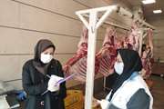 برگزاری گشت مشترک کارشناسان بهداشت محیط مرکز بهداشت جنوب تهران از میدان بهمن